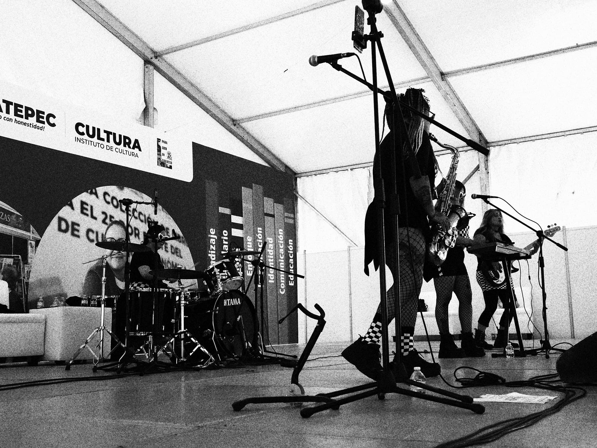 Feria del Libro Ecatepec 2026 — Día 1, foto 12